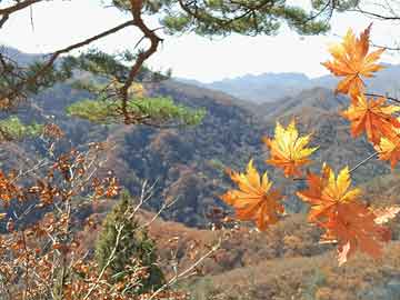 法院建黨99周年活動方案-法院慶祝建黨一百周年